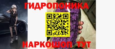 тгк Кимры